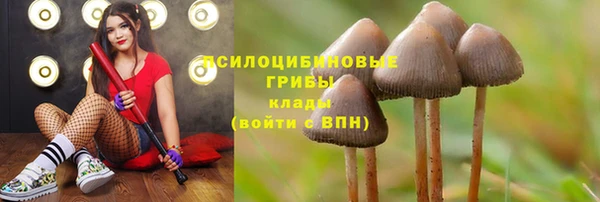 спайс Алексин