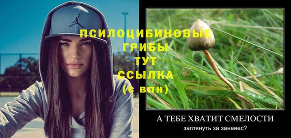 спайс Алексин