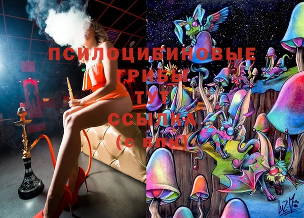 мяу мяу мука Алексеевка