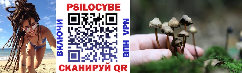 Галлюциногенные грибы Magic Shrooms  Купить  Белёв 